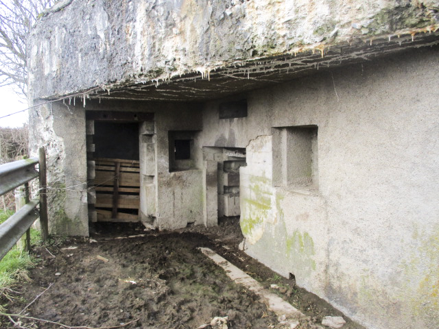 Ligne Maginot - PREUX AU SART - (Blockhaus lourd type STG / STG-FCR - Double) -  - Smardz Félix