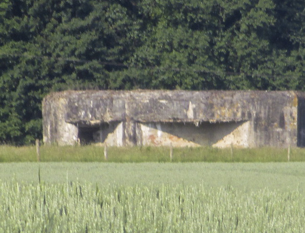 Ligne Maginot - MOULIN RICHARD EST - (Blockhaus lourd type STG / STG-FCR - Simple) - Photo prise du chemin Delmer. - Smardz Félix