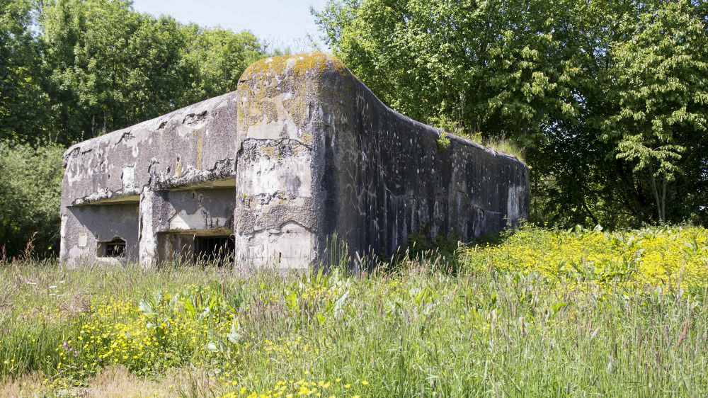 Ligne Maginot - PLANTIS - (Blockhaus pour canon) -  - Segers