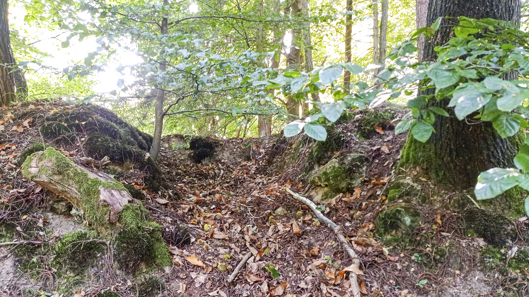 Ligne Maginot - HOCHWALD HAUT ARRIéRE - (Observatoire d'artillerie) - Observatoire sans sa guérite
Reste du rocaillage - Baptiste Gaudin