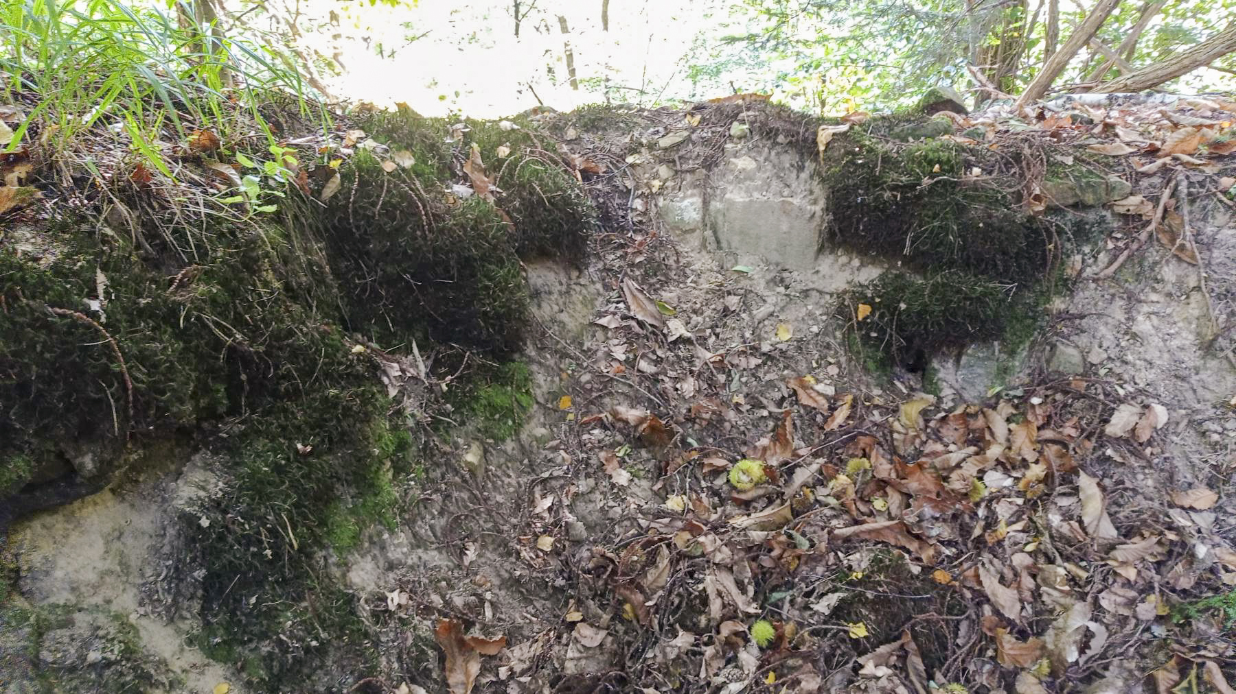 Ligne Maginot - HOCHWALD HAUT ARRIéRE - (Observatoire d'artillerie) - Observatoire sans sa guérite
Reste du rocaillage - Baptiste Gaudin