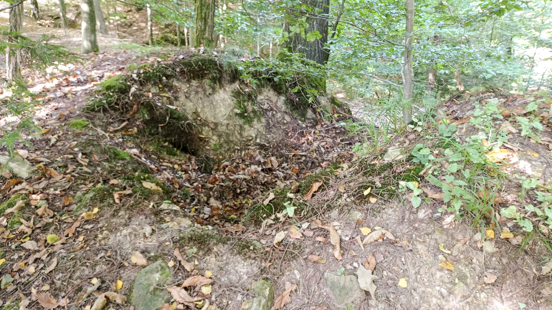 Ligne Maginot - HOCHWALD HAUT ARRIéRE - (Observatoire d'artillerie) - Observatoire sans sa guérite - Baptiste Gaudin