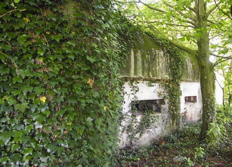 Ligne Maginot - A85 - PONT-ALLANT SUD - (Blockhaus lourd type STG / STG-FCR - Double) -  - © Jean-Louis AUBLET & Sylvie MAINGUIN