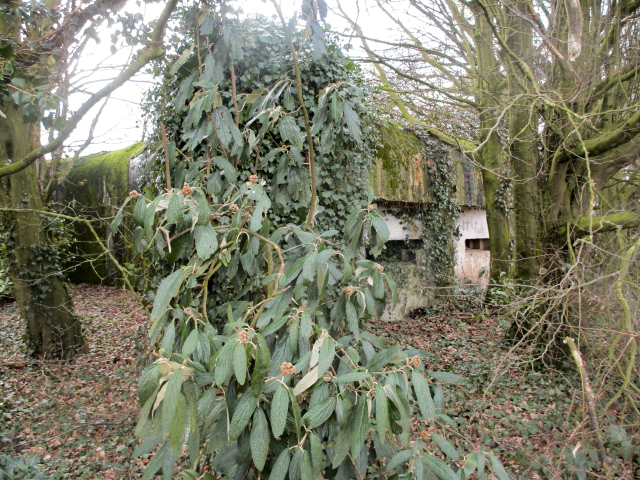Ligne Maginot - A85 - PONT-ALLANT SUD - (Blockhaus lourd type STG / STG-FCR - Double) -  - Smardz Félix