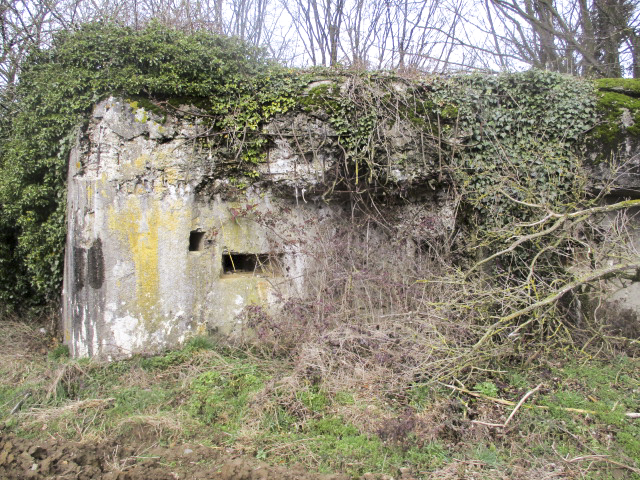 Ligne Maginot - A85 - PONT-ALLANT SUD - (Blockhaus lourd type STG / STG-FCR - Double) -  - Smardz Félix