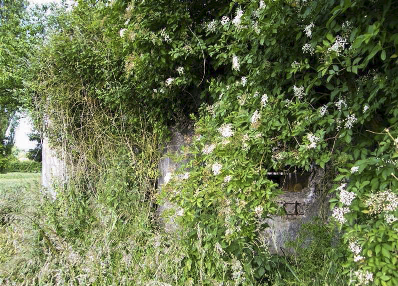 Ligne Maginot - A85 - PONT-ALLANT SUD - (Blockhaus lourd type STG / STG-FCR - Double) -  - © Jean-Louis AUBLET & Sylvie MAINGUIN