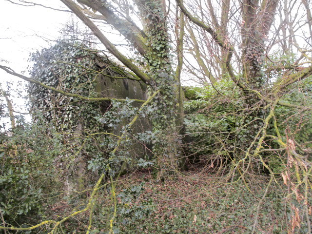 Ligne Maginot - A85 - PONT-ALLANT SUD - (Blockhaus lourd type STG / STG-FCR - Double) -  - Smardz Félix