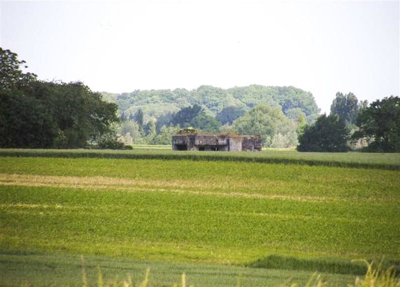 Ligne Maginot - GRAND CAMP PERDU - (Blockhaus lourd type STG / STG-FCR - Double) -  - © Jean-Louis AUBLET & Sylvie MAINGUIN