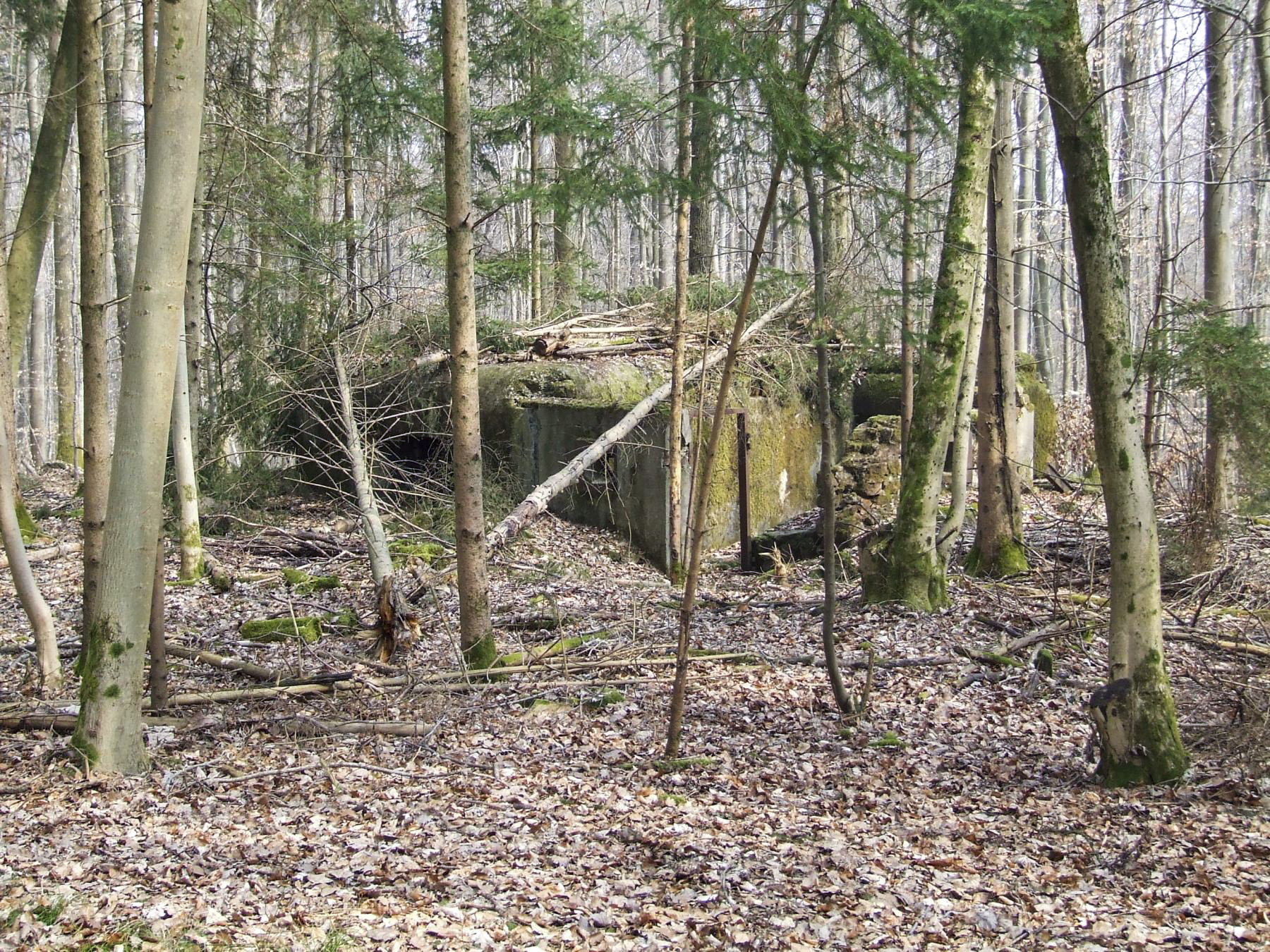 Ligne Maginot - NEUBACH 2 (AVANT POSTE) - (Blockhaus pour arme infanterie) - La façade arrière et l'entrée du blockhaus. - STENGER Mathieu
