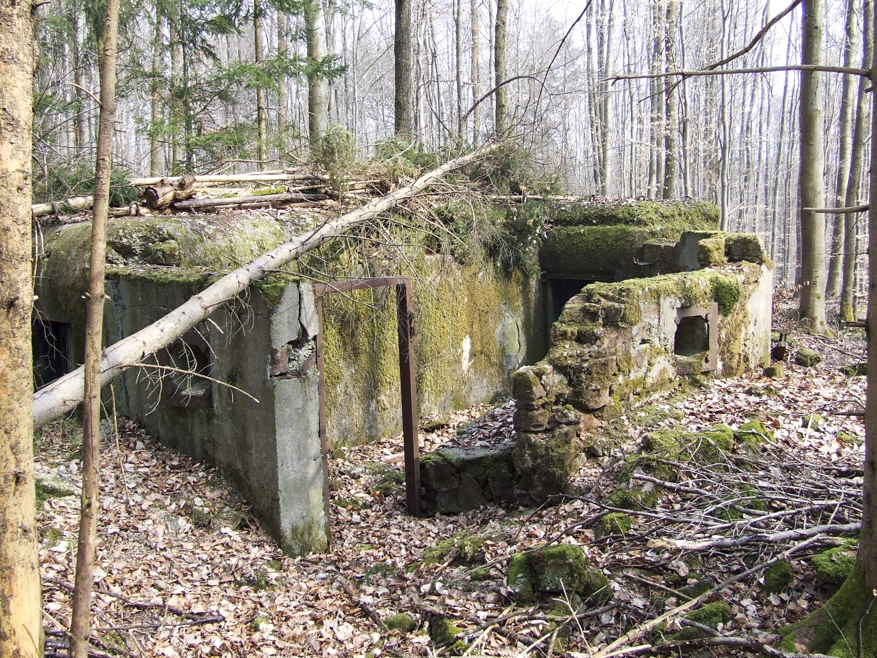Ligne Maginot - NEUBACH 2 (AVANT POSTE) - (Blockhaus pour arme infanterie) - La façade arrière et l'entrée du blockhaus. - STENGER Mathieu