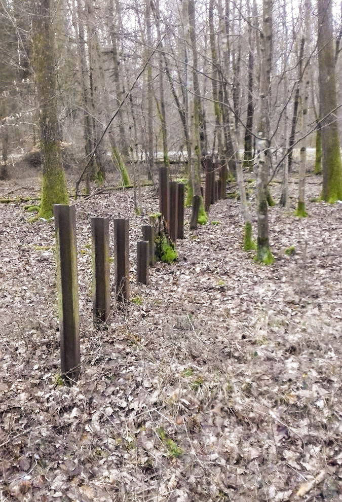 Ligne Maginot - NEUBACH (réseau de rails) (Obstacle antichar) - Réseau de rails antichar - etienne