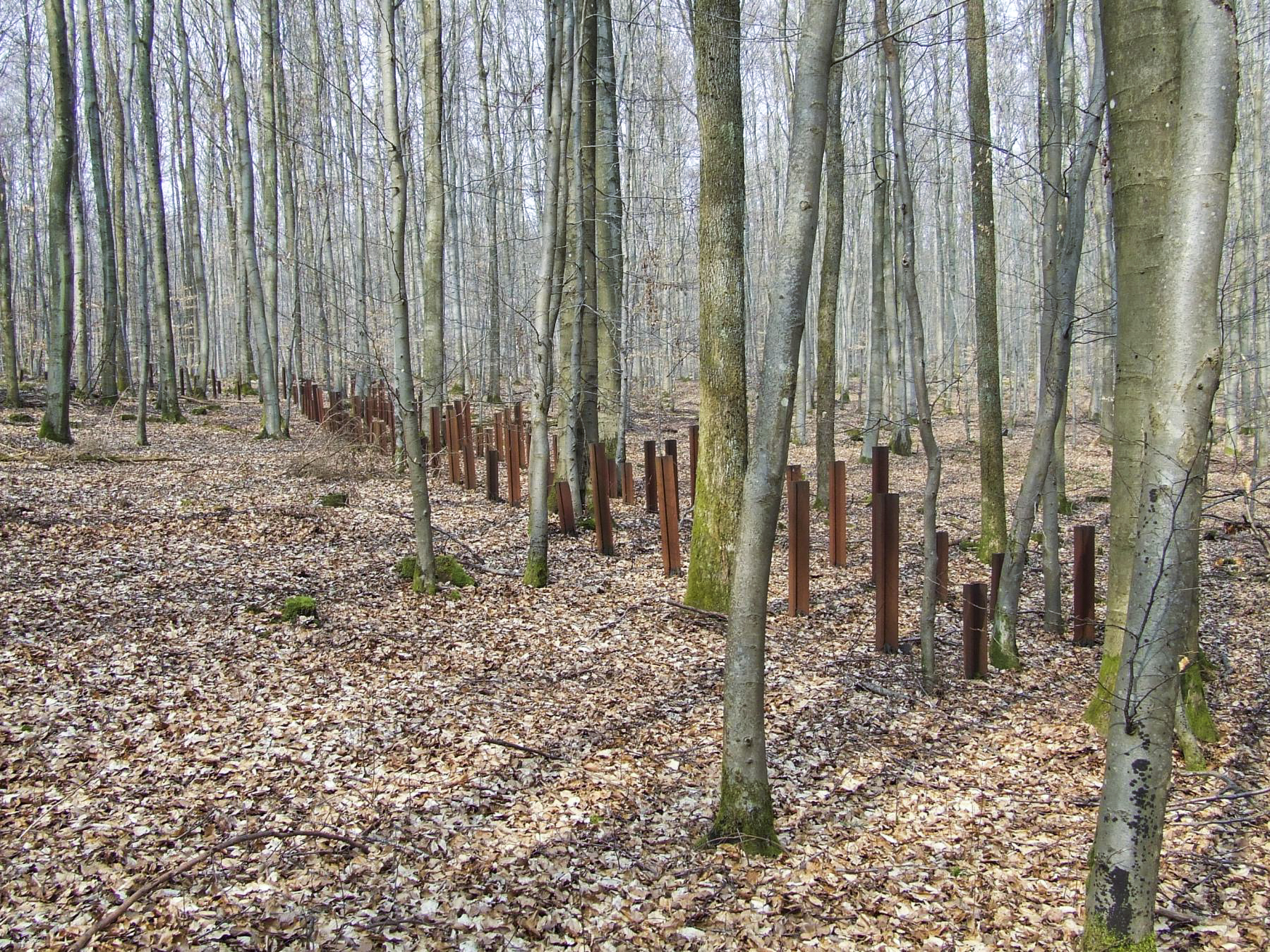 Ligne Maginot - NEUBACH  (RéSEAU DE RAILS) - (Obstacle antichar) -  - STENGER Mathieu