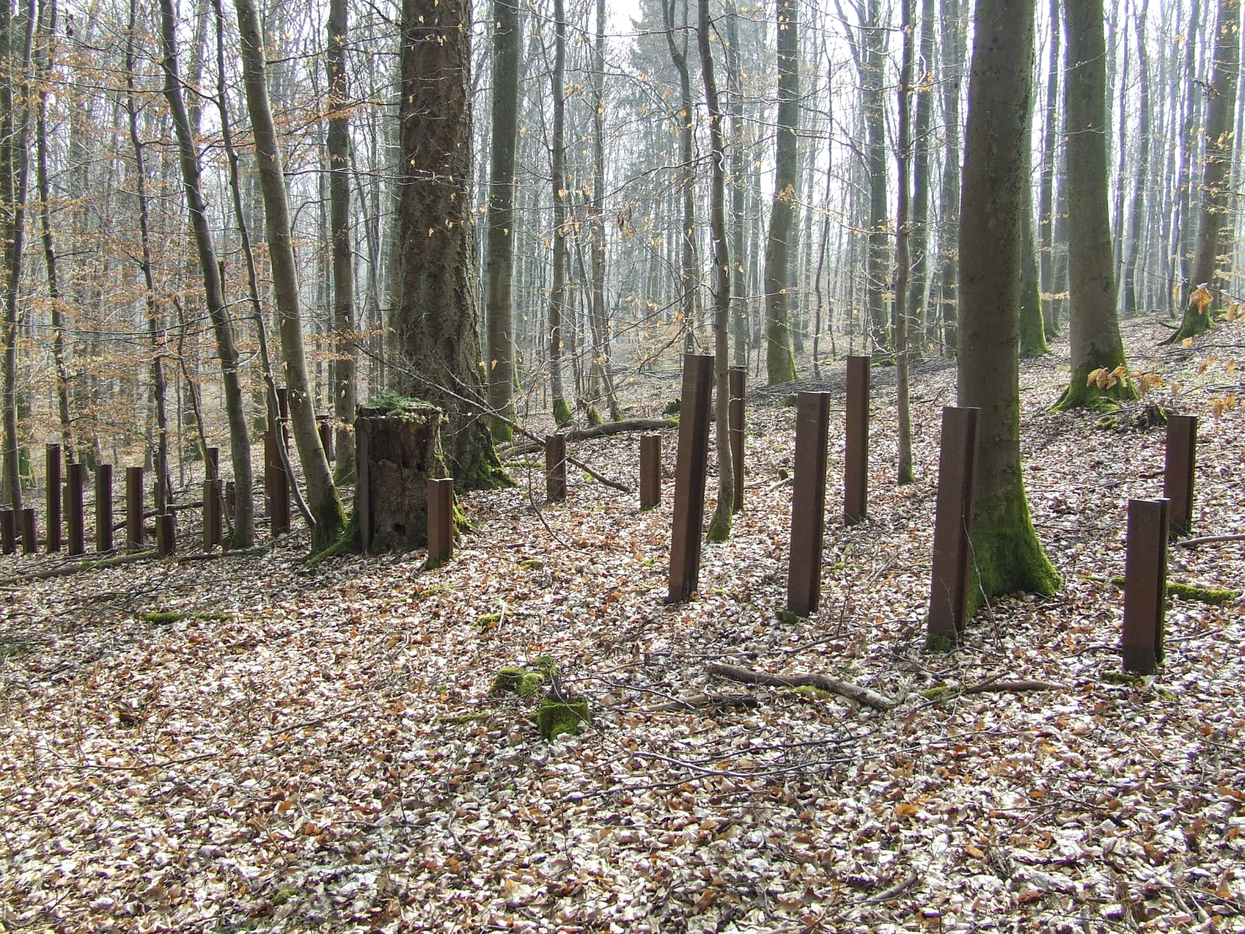 Ligne Maginot - NEUBACH  (RéSEAU DE RAILS) - (Obstacle antichar) -  - STENGER Mathieu