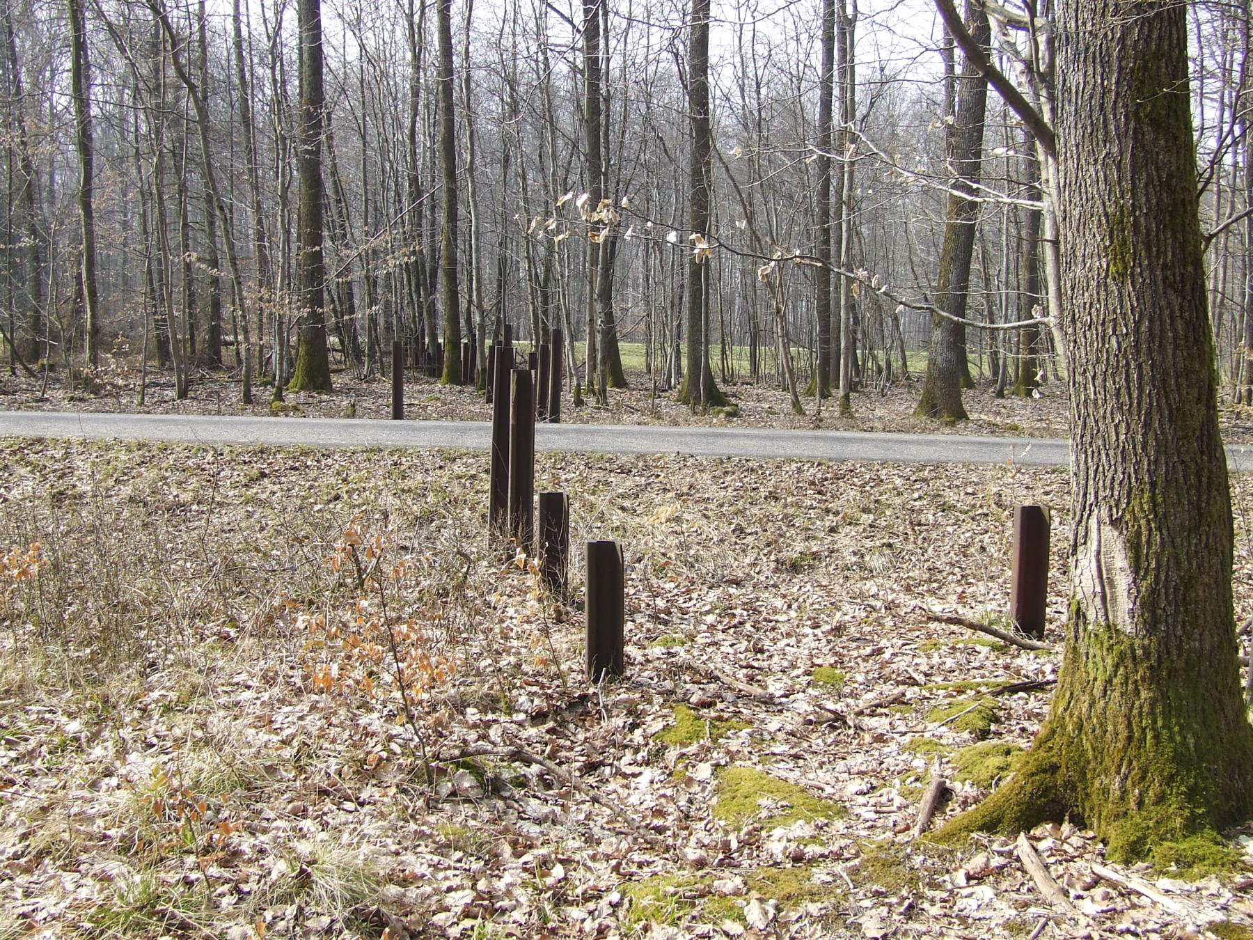 Ligne Maginot - NEUBACH  (RéSEAU DE RAILS) - (Obstacle antichar) -  - STENGER Mathieu