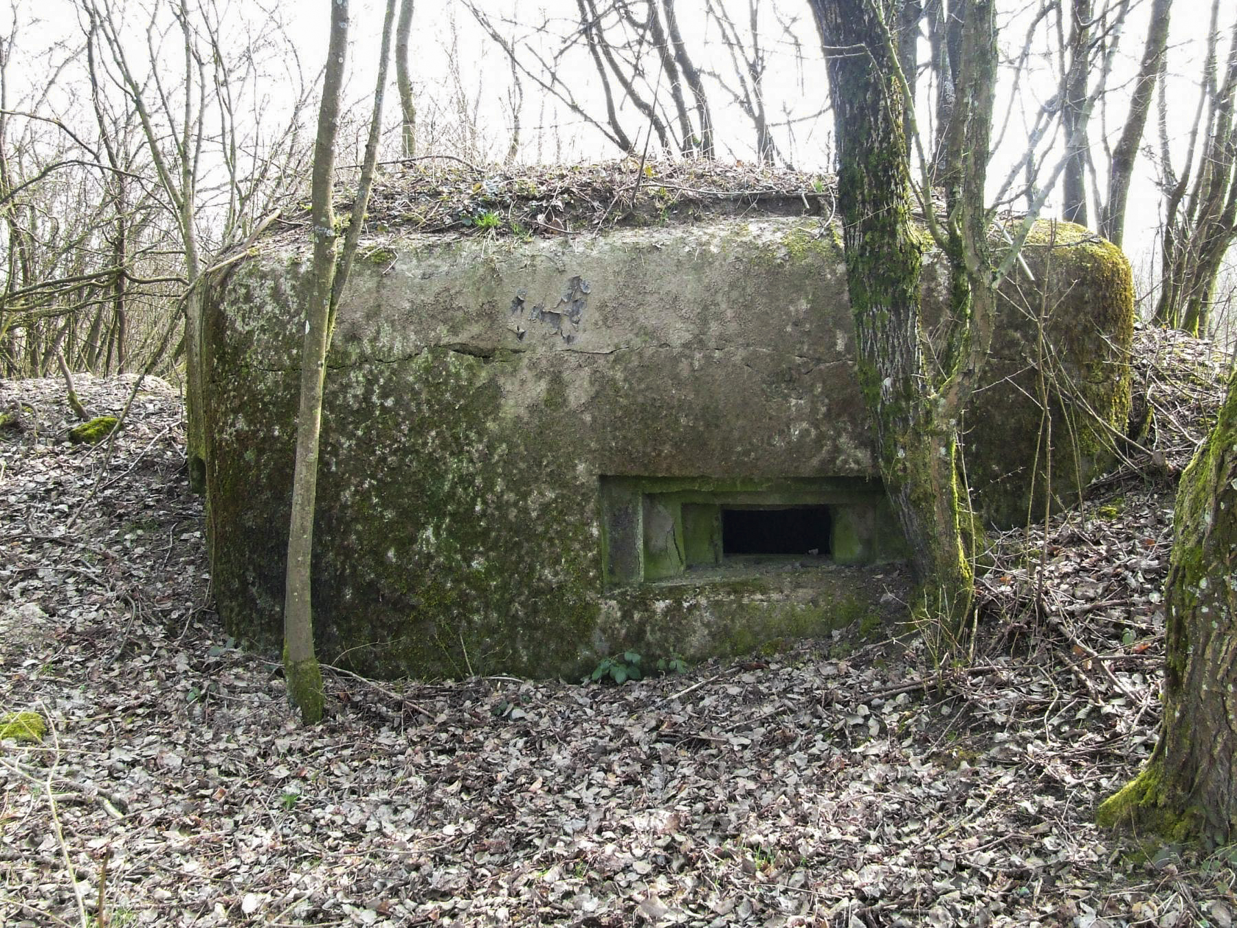 Ligne Maginot - FERME DES TUILERIES - BITCHERBERG 2 - (Blockhaus pour arme infanterie) - L'embrasure pour mitrailleuse Hotchkiss. - STENGER Mathieu