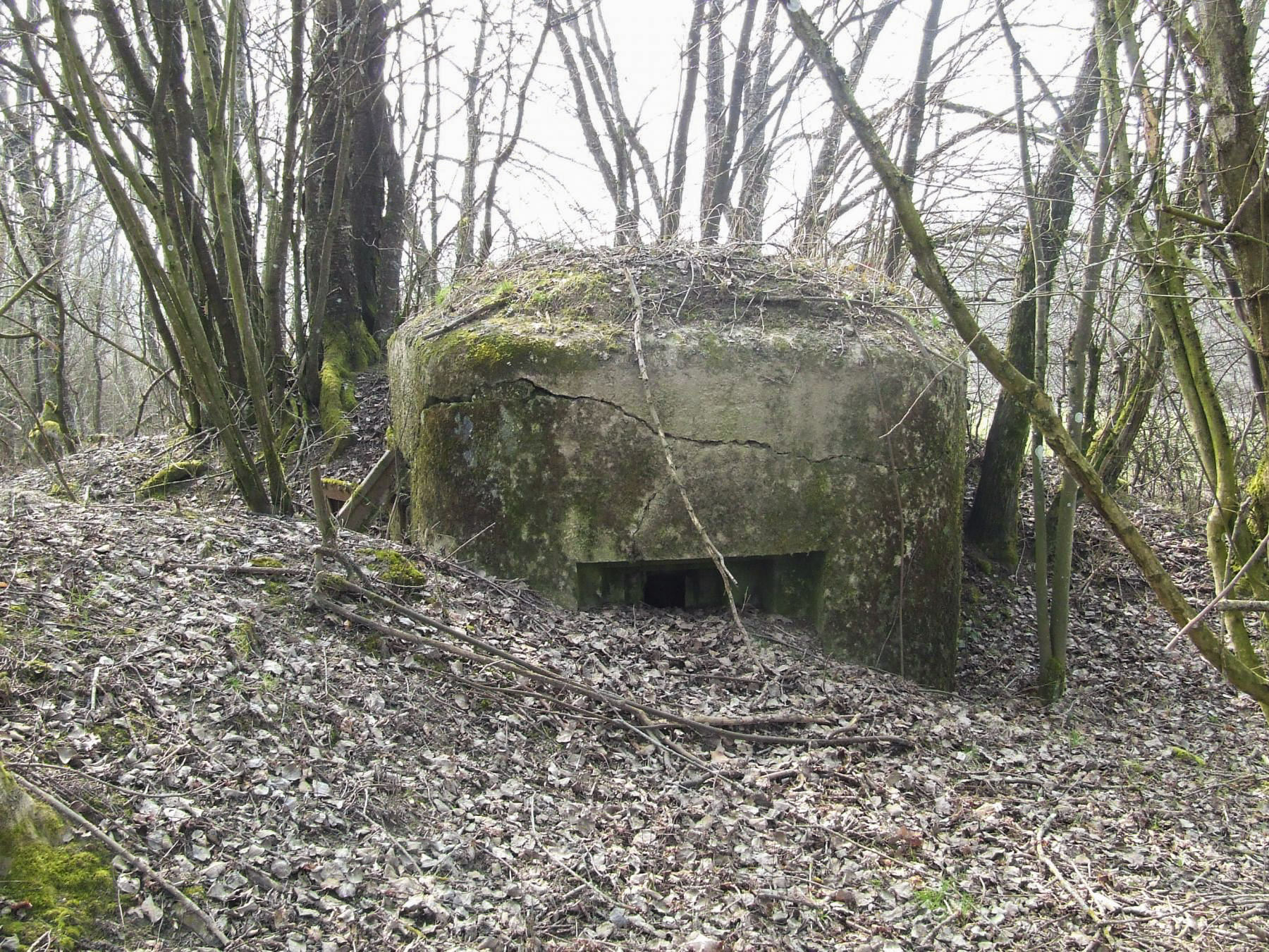 Ligne Maginot - FERME DES TUILERIES - BITCHERBERG 2 - (Blockhaus pour arme infanterie) - L'embrasure secondaire pour FM 24/29. - STENGER Mathieu