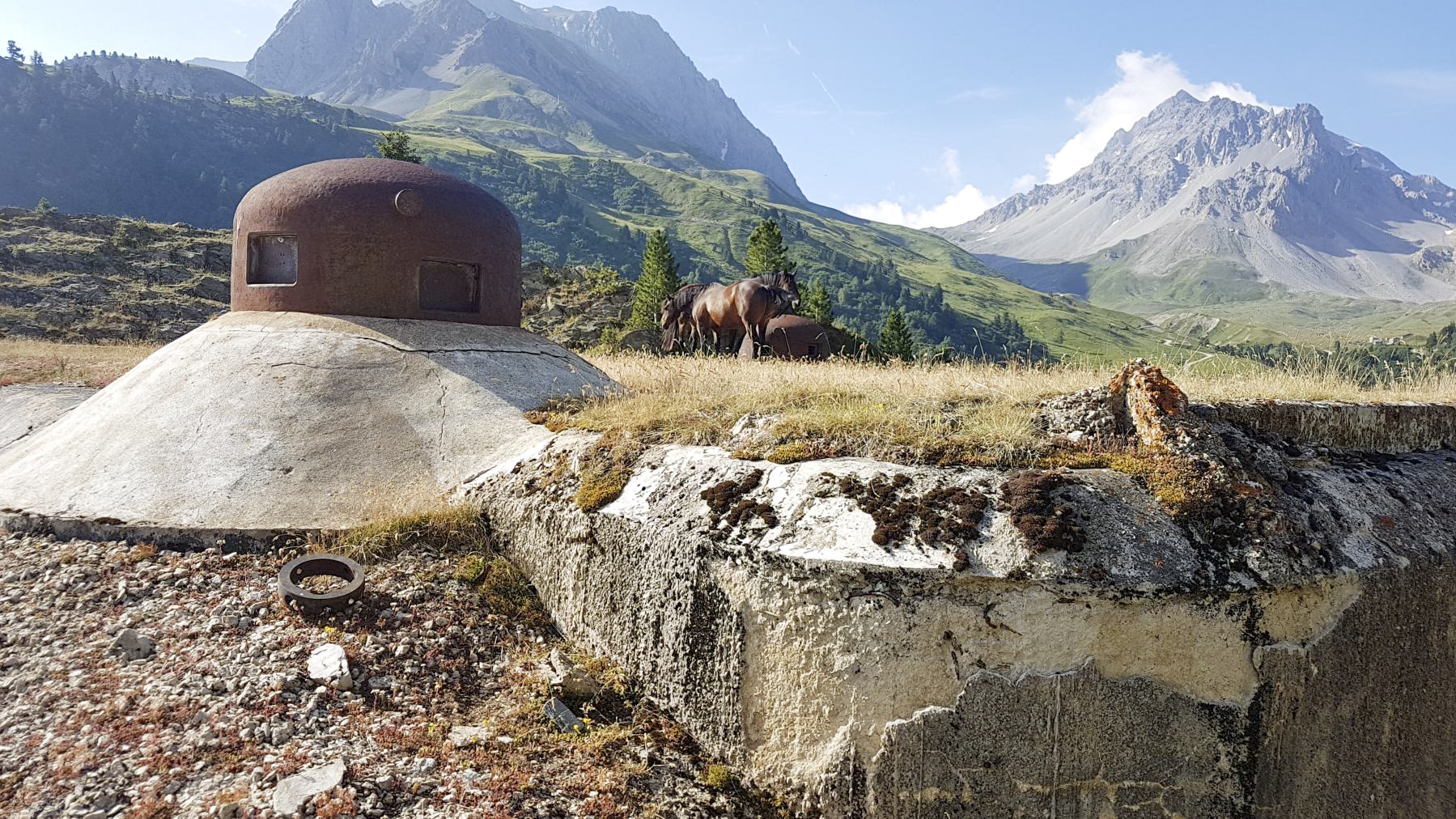 Ligne Maginot - LAVOIR - (Ouvrage d'artillerie) - Bloc 5
Cloche GFM nord - ELLENA - CUNY