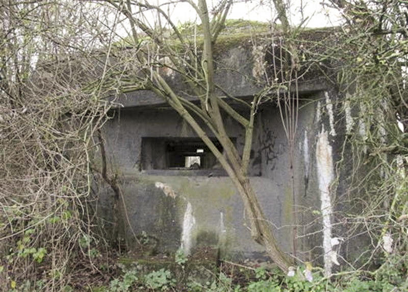 Ligne Maginot - B533 - RUISSEAU DU BULTIAU SUD - (Blockhaus pour canon) -  - AALMA - www.lignemaginot.com