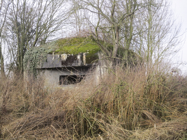 Ligne Maginot - B533 - RUISSEAU DU BULTIAU SUD - (Blockhaus pour canon) -  - Smardz Félix