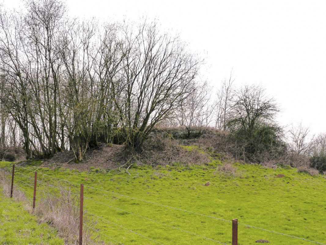 Ligne Maginot - C16 - GOMMEGNIES OUEST - (Casemate d'infanterie) -  - JMBrams