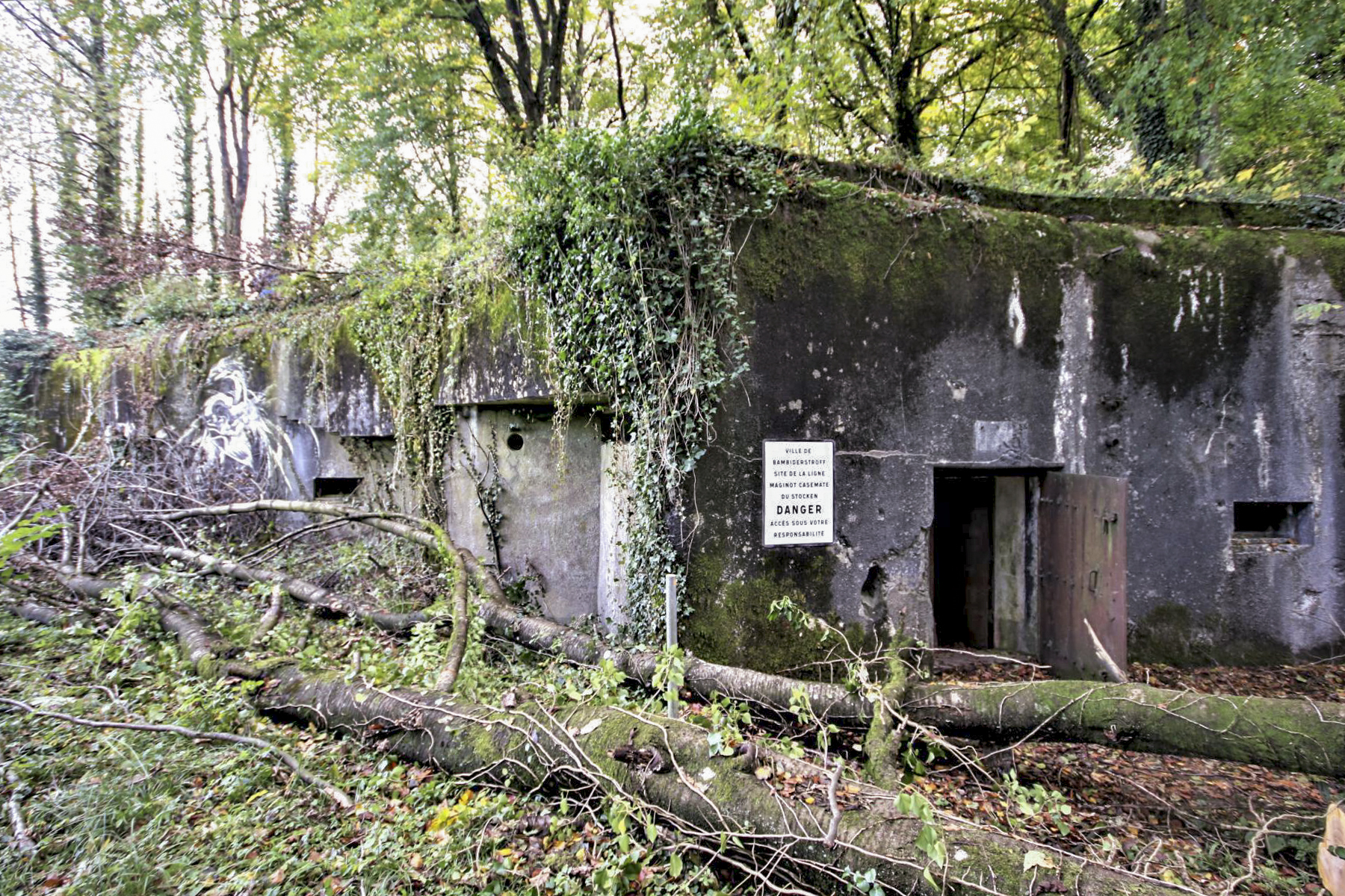 Ligne Maginot - ACA2 - STOCKEN - (Casemate d'artillerie) - La casemate n'est plus entretenue et la végétation a repris le dessus - Michel & Philippe ZIMMER