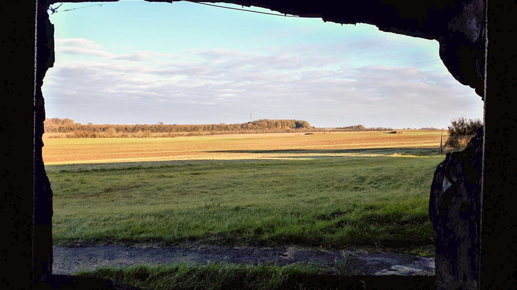 Ligne Maginot - BAMBIDERSTROFF NORD - C70 - (Casemate d'infanterie) - Vue depuis le créneau JM/47
L'ouvrage du Bambesch se trouve dans le bois en face - Gregory Fuchs