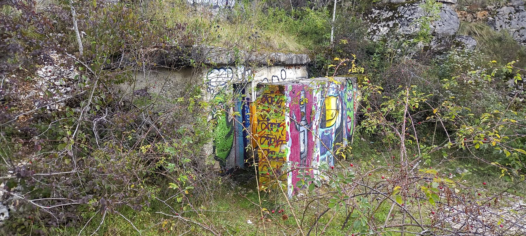 Ligne Maginot - MONT MOUREX (9° RAD) - (PC) - Le PC caché au fond de la carrière. - Dirknet