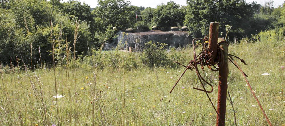 Ligne Maginot - WITTRING - (Casemate d'infanterie) - Les barbelés autour de la casemate - Grami