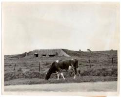 Ligne Maginot - BB27 - HUELSENKLOPP - (Blockhaus pour canon) - Photo de presse 1949
PAR 892566