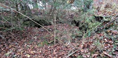 Ligne Maginot - FM7 - SCHMELTZBACH 13 - (Blockhaus pour arme infanterie) - Décaissement à proximité de la position 