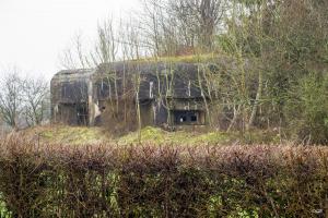 Ligne Maginot - A117 - PASSE D'ANOR - (Blockhaus pour canon) - 