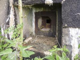 Ligne Maginot - A117 - PASSE D'ANOR - (Blockhaus pour canon) - Défense entrées - FM