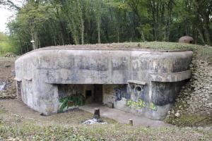 Ligne Maginot - TETING - A38 - (Ouvrage d'infanterie) - Bloc 1
Après nettoyage par l'association ASPOLT