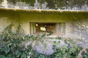 Ligne Maginot - B529 - BOIS DE LA FERRIERE SUD - (Blockhaus pour canon) - 