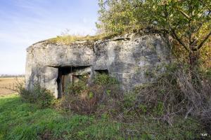 Ligne Maginot - B559 - LA BELLE HOTESSE - (Blockhaus pour canon) - L'entrée