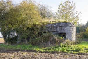 Ligne Maginot - B559 - LA BELLE HOTESSE - (Blockhaus pour canon) - Les créneaux coté Ouest