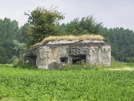 Ligne Maginot - B566 - CROIX CRAPOUILLEZ NORD - (Blockhaus pour canon) - 