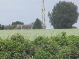 Ligne Maginot - B568BIS - PRE AULNOIS - (Blockhaus pour arme infanterie) - Photo prise de la D 932 - Route de Maubeuge.