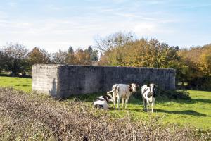 Ligne Maginot - B580 - LES MOTTES - (Abri) - 
