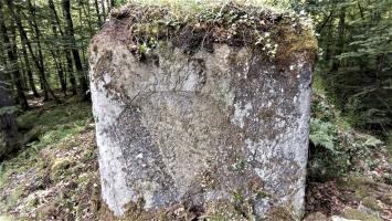 Ligne Maginot - FM15 - VERLORENERBACH 1 - (Blockhaus pour arme infanterie) - Mur latéral gauche
Démarcation du crépis après rocaillage