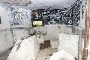 Ligne Maginot - B595 - BOIS DES LANIERES 7 - (Blockhaus pour canon) - 