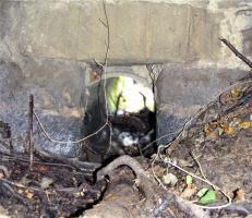Ligne Maginot - VERLORENERBACH - (Blockhaus pour arme infanterie) - Buse d'évacuation des eaux