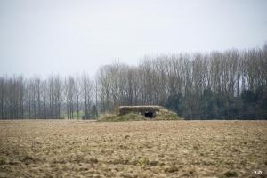 Ligne Maginot - B602 - CHAPELLE SAINT JOSEPH - (Blockhaus pour arme infanterie) - 