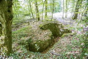 Ligne Maginot - MEISTERBUSCH 1 - (Cuve pour arme d'infanterie) - 