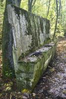 Ligne Maginot - GALGENBERG - (Casernement) - Reste des mangeoires pour chevaux