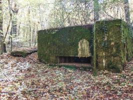 Ligne Maginot - CB445 - BOIS KARRE 3 - (Blockhaus pour canon) - On notera la présence d'une petite annexe, sur la gauche du blockhaus, pour l'installation d'un FM et observation.