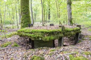 Ligne Maginot - CB445 - BOIS KARRE 3 - (Blockhaus pour canon) - Aux alentours
La construction est reliée au blockhaus via une tranchée.
