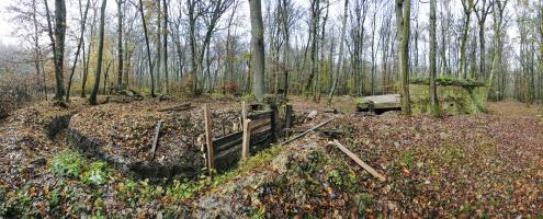 Ligne Maginot - CB447 - BOIS KARRE 2 - (Blockhaus pour arme infanterie) - Tranchées autour du blockhaus.