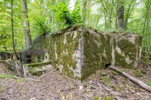 Ligne Maginot - CB447 - BOIS KARRE 2 - (Blockhaus pour arme infanterie) - 