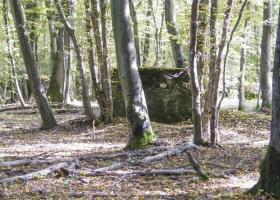 Ligne Maginot - CB447-A - BOIS KARRE 1 - (Blockhaus pour arme infanterie) - 